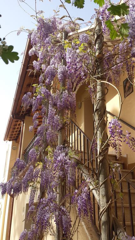 Apartamento Agriturismo Casal Taccone Tarquinia Exterior foto